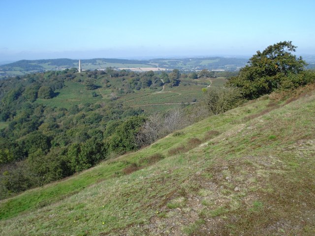 Midsummer Hill and Eastnor Park - geograph.org.uk - 618961
