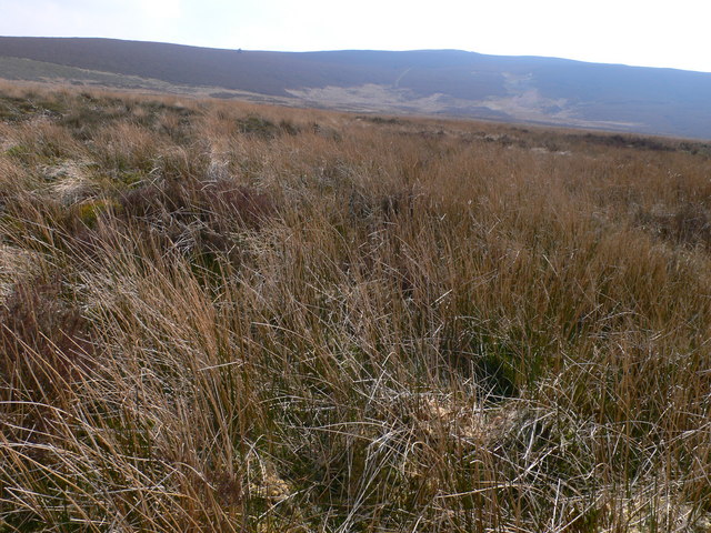 File:Moorland south of Llidiart-y-Parc - geograph.org.uk - 407158.jpg