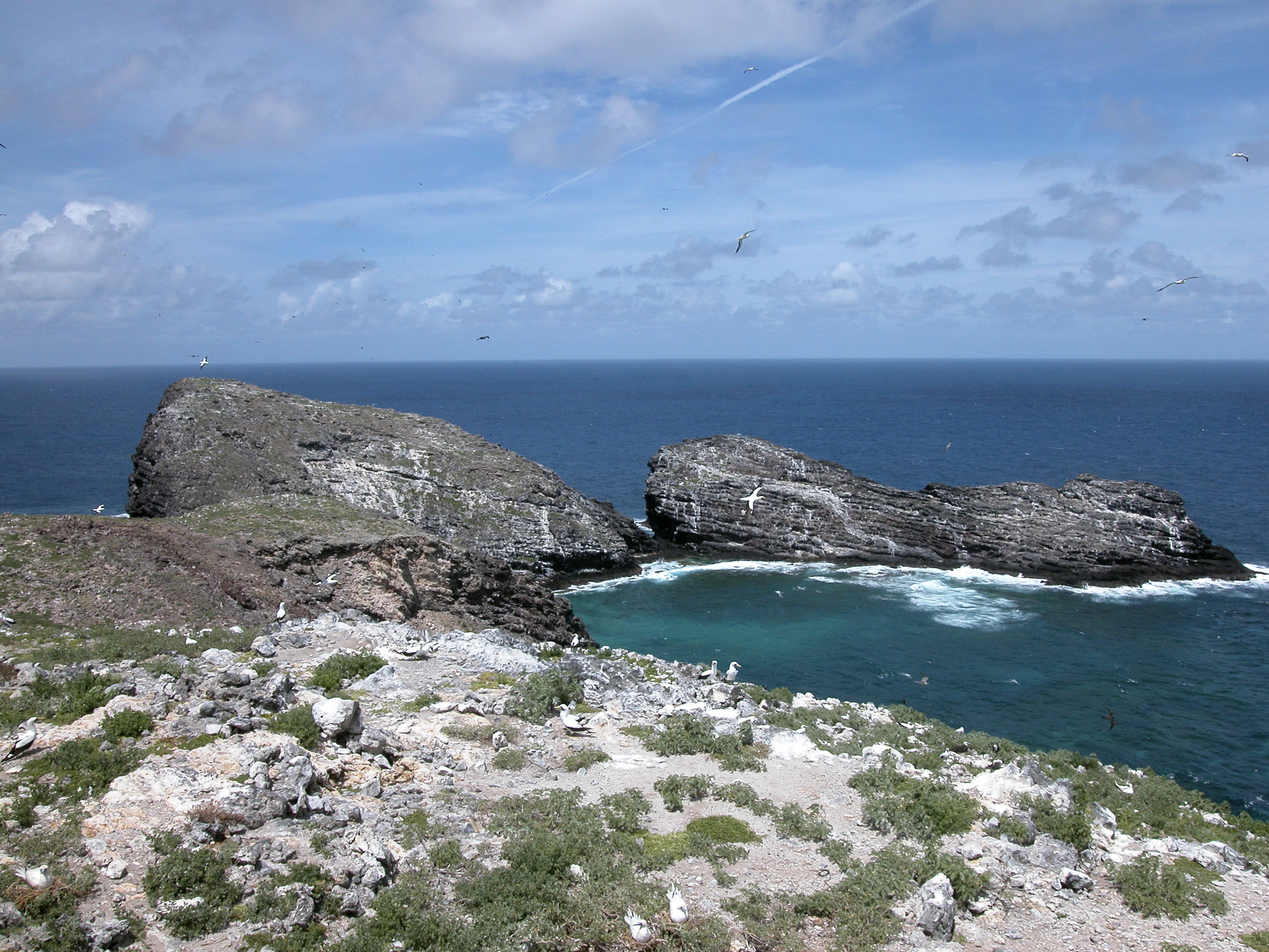 Los mejores resorts todo incluido en las Islas Vírgenes Británicas 4