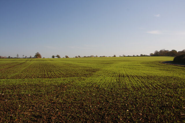 File:Open farmland near Badwell Ash - geograph.org.uk - 1586349.jpg