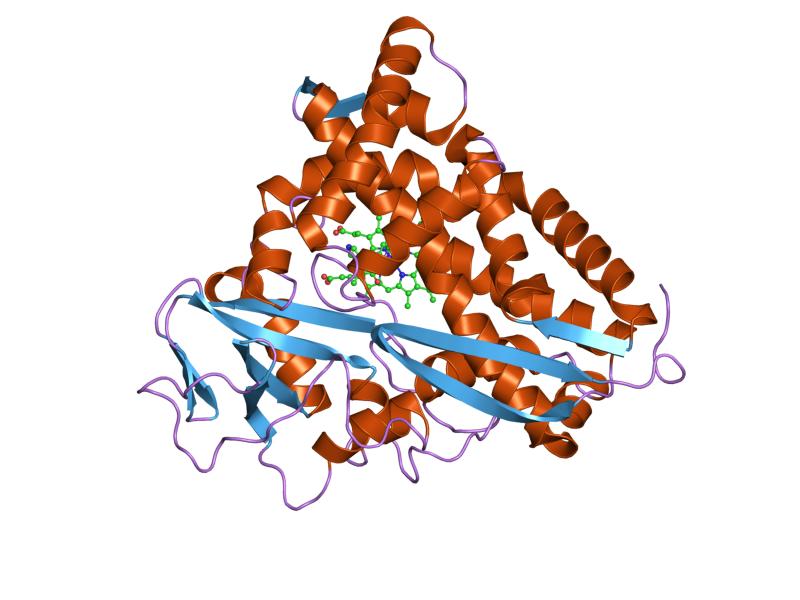 File:PDB 1phg EBI.jpg