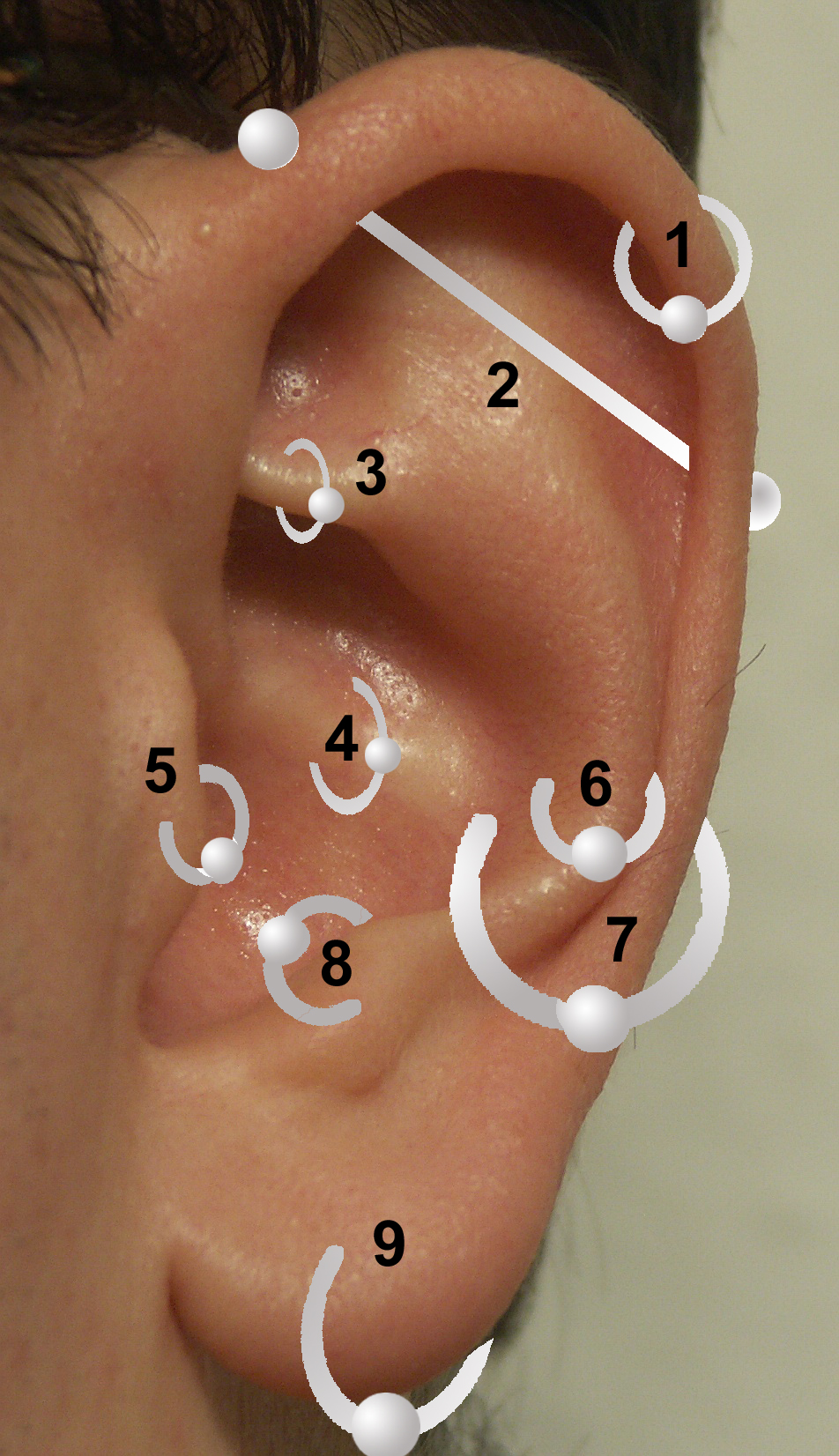 Elsie Cute Crystal Butterfly Ear Piercing Jewelry Earring Studs – MyBodiArt-calidas.vn