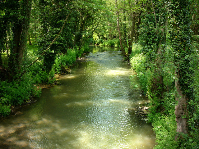 File:River Rother at Chithurst - geograph.org.uk - 448948.jpg