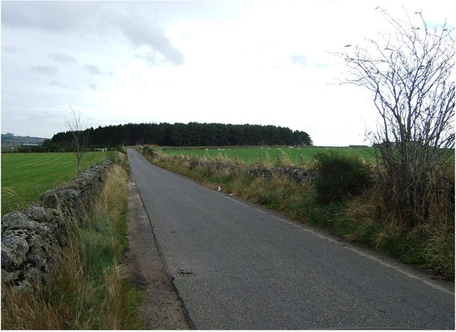 File:Road by Benthoul - geograph.org.uk - 585562.jpg