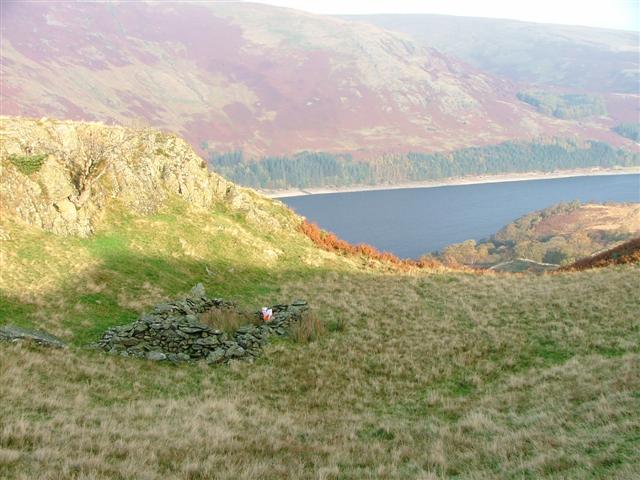 File:Ruined Sheepfold - geograph.org.uk - 73788.jpg