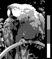 Screen color test CGA 4colors mono.png