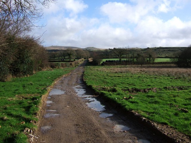 File:Track at Fernworthy - geograph.org.uk - 319303.jpg