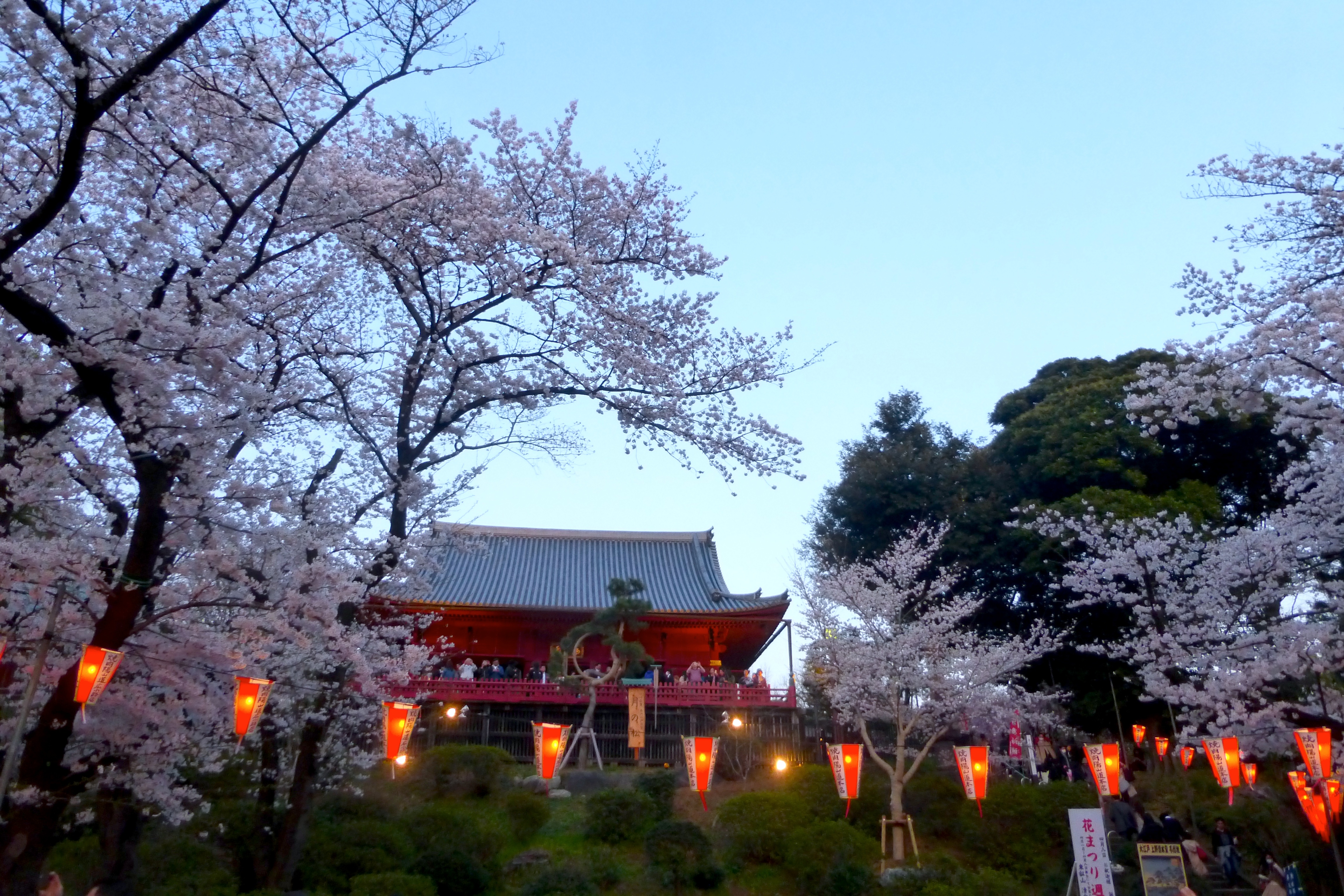 Tokyo park