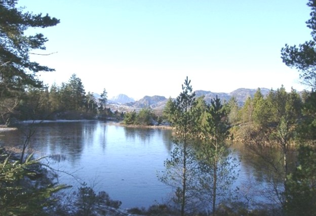 Gwydir Forest