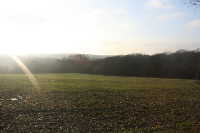 View to Minepits Wood from the Forest Way - geograph.org.uk - 1700021