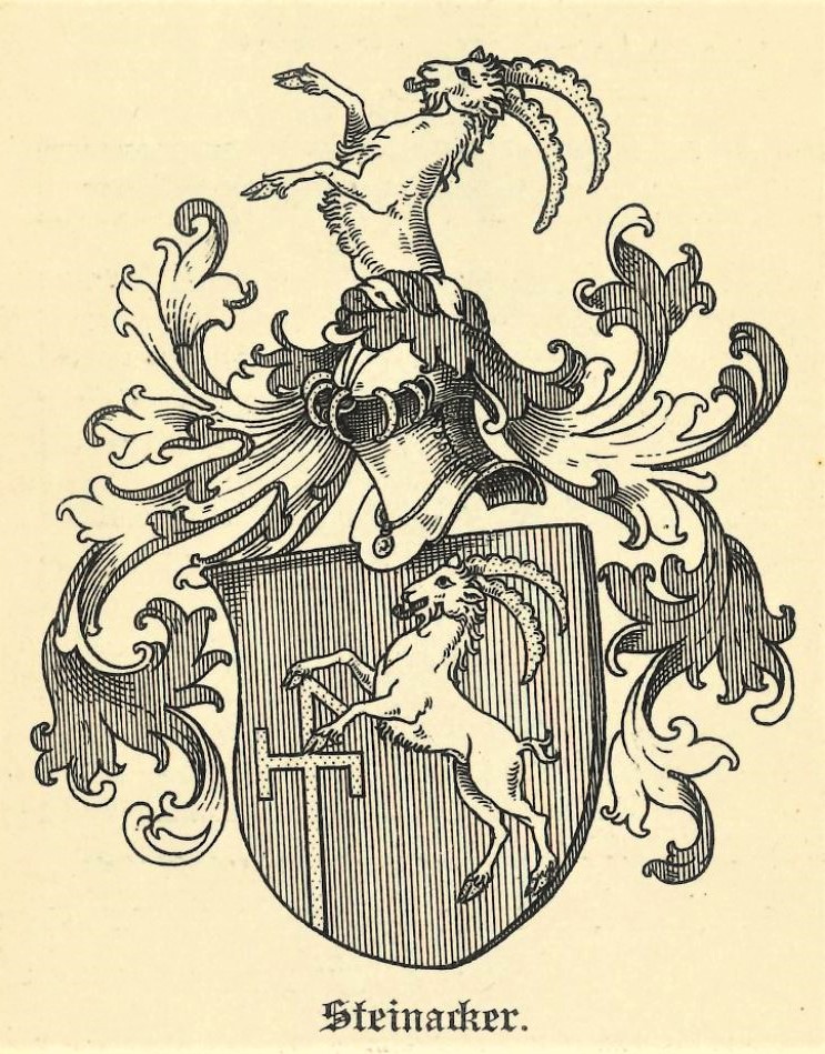 Wappen der Familie Steinacker