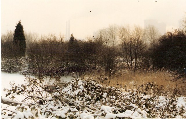 File:Winter at Branston - geograph.org.uk - 319747.jpg