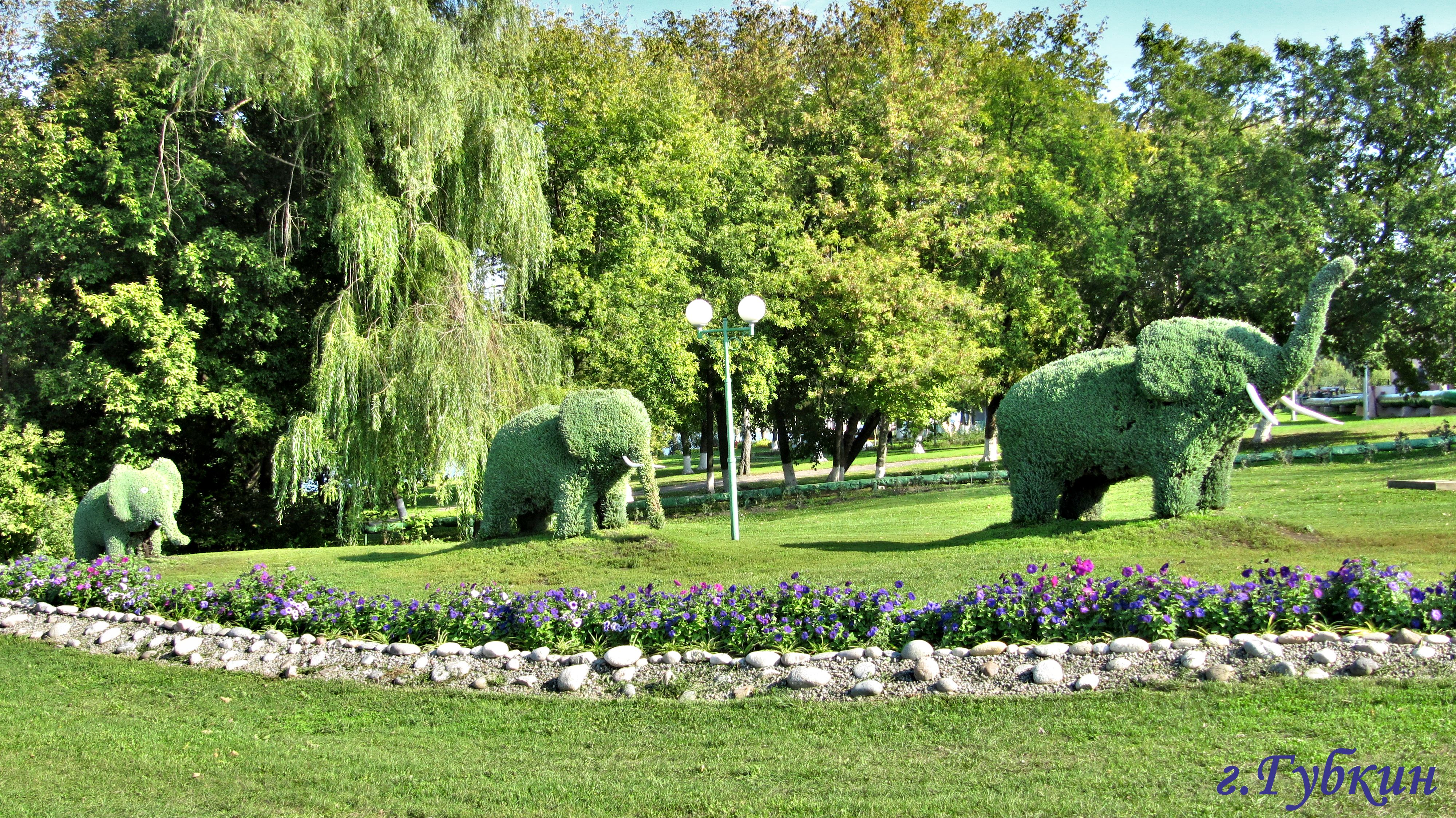 парки в губкине