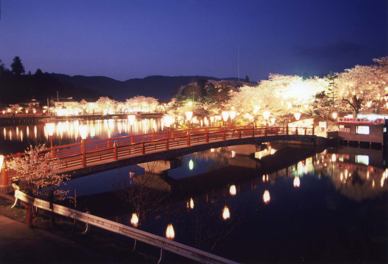 ファイル:庄原・上野公園の桜.jpg - Wikipedia