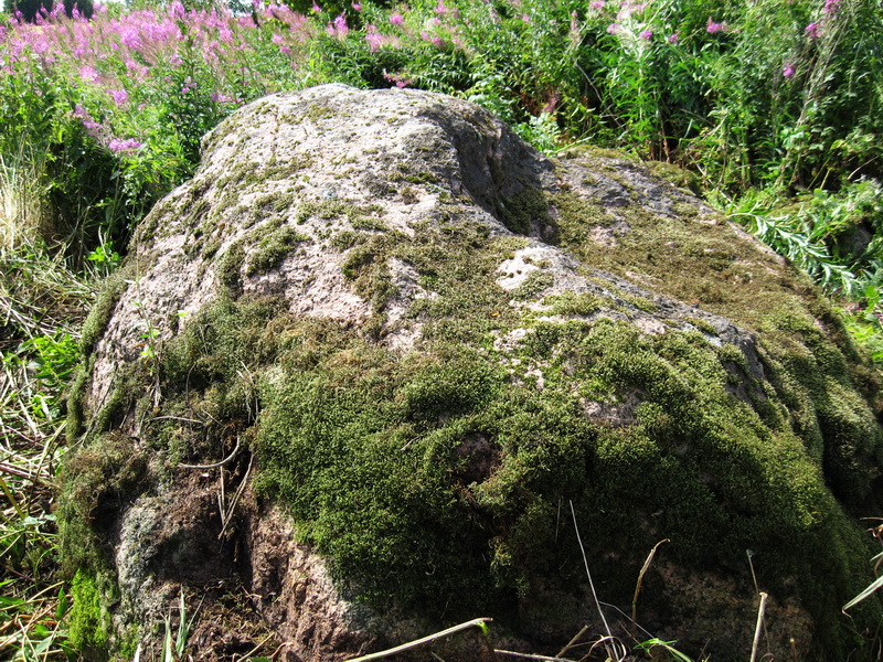 File:Камень палужскі. Воранаўскі раён (03).jpg