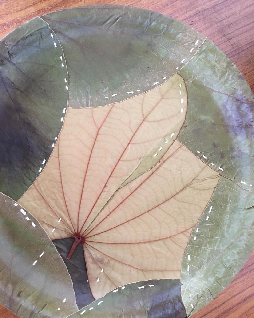 Fresh Greens Botanical Paper Plates 9