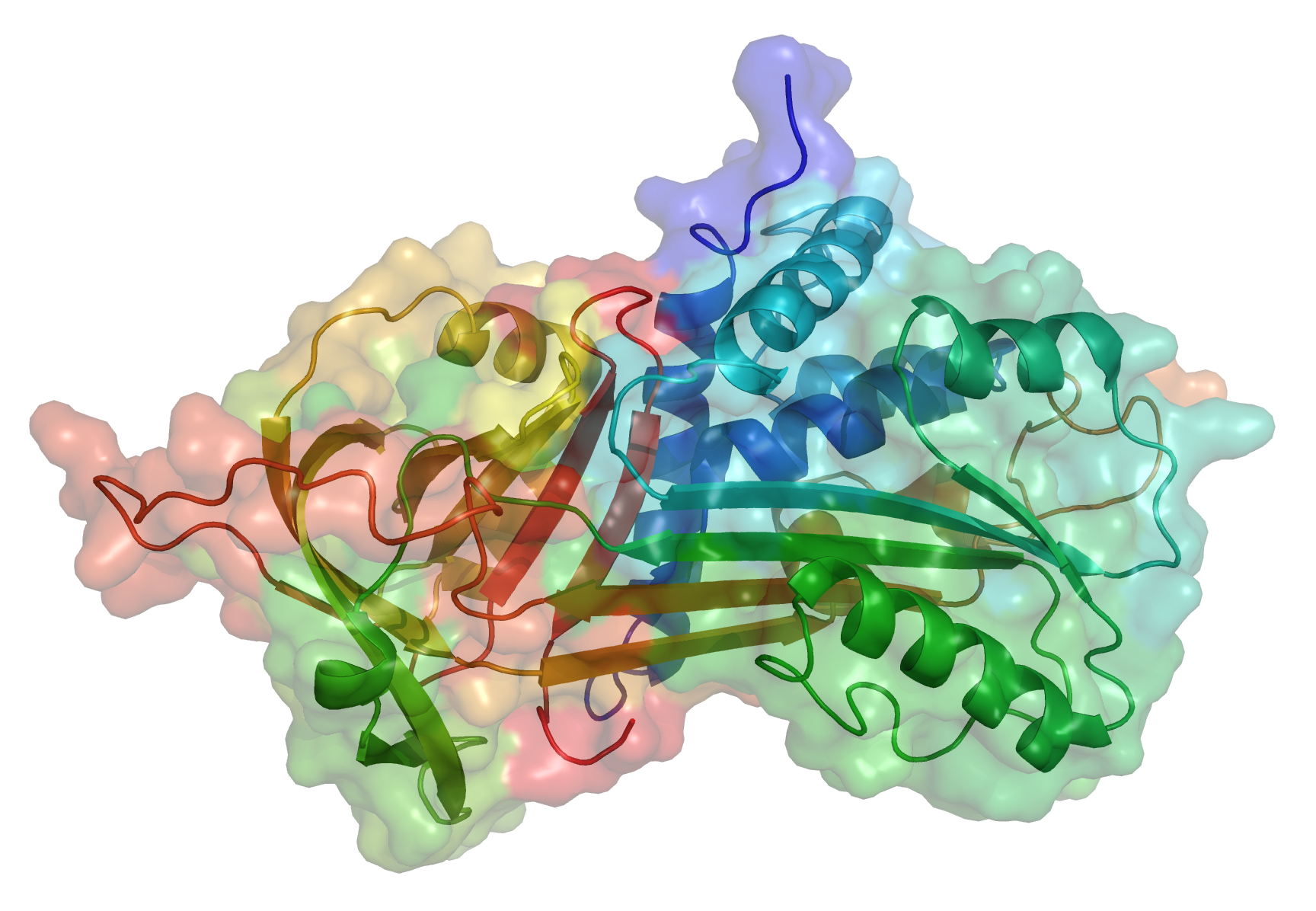 Глобулины у детей. Альфа 1-антитрипсина. Белок альфа1 антитрипсин. Alpha-1 antitrypsin. Дефицит Альфа 1 антитрипсина.