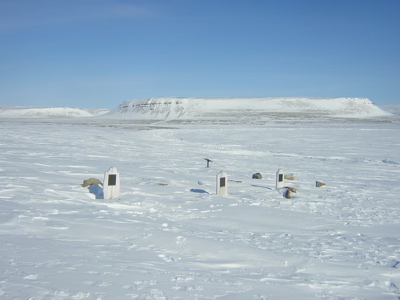 Fitxer:BeecheyIsland Graves.jpg