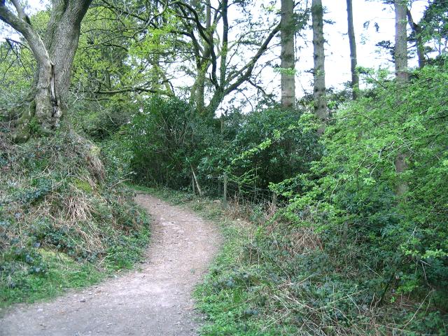 Bridle path adjacent to Craig-y-nos Country Park - geograph.org.uk - 421976