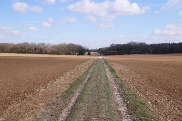 File:Byway to Abbotts Ann - geograph.org.uk - 3382974.jpg