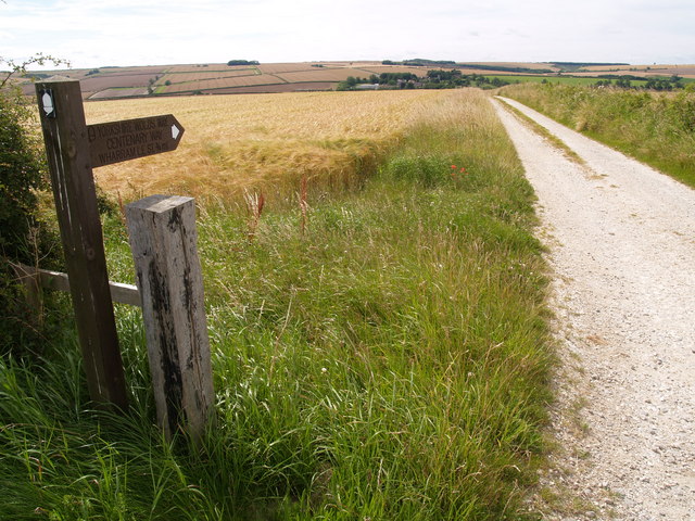 Centenary Way or Yorkshire Wolds Way - geograph.org.uk - 527503