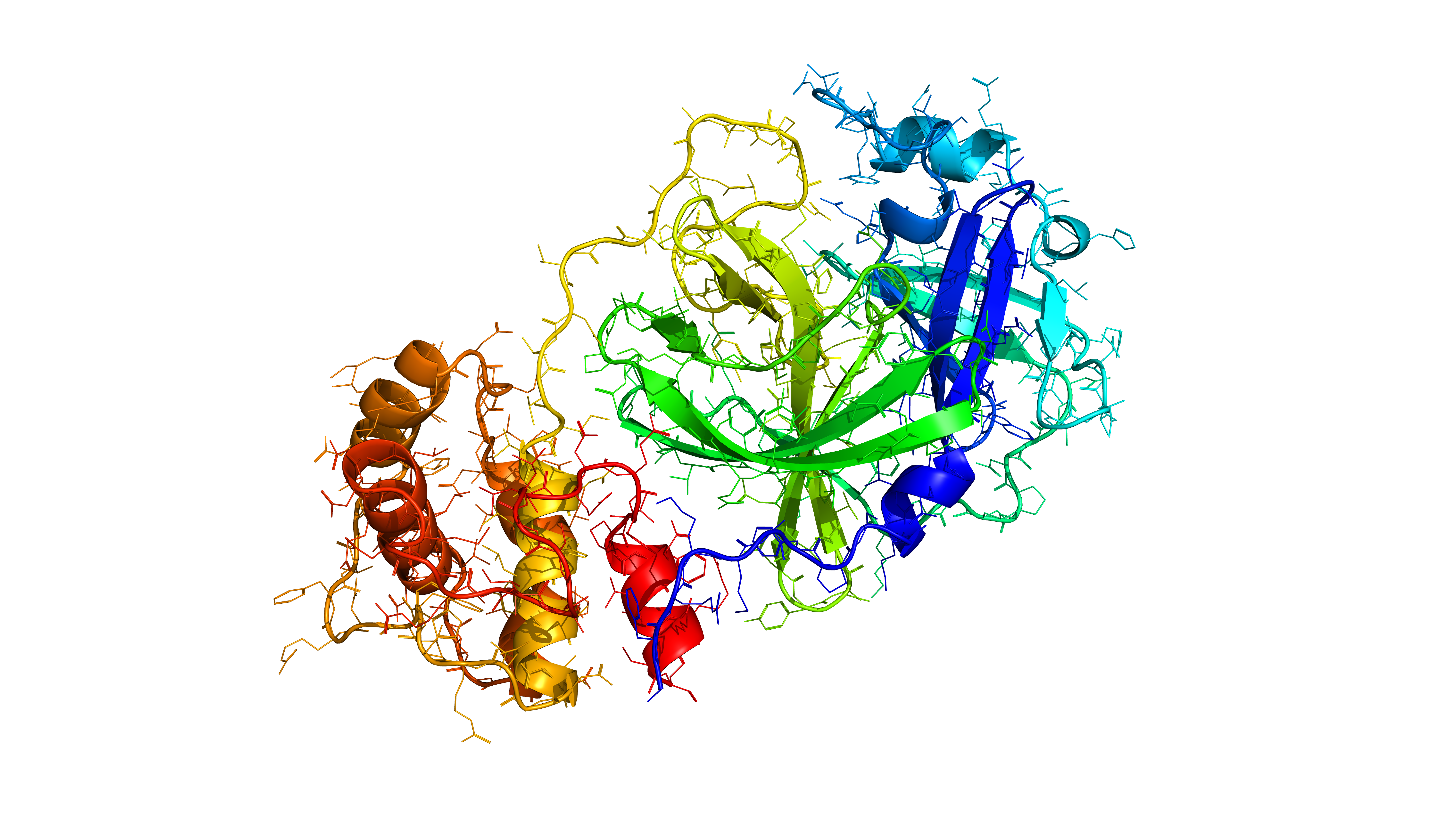 File Coronavirus 2019 Ncov 3 Png Wikimedia Commons