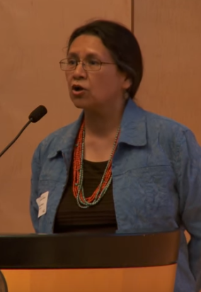 <span class="mw-page-title-main">Debbie Reese</span> Nambé Pueblo scholar and educator