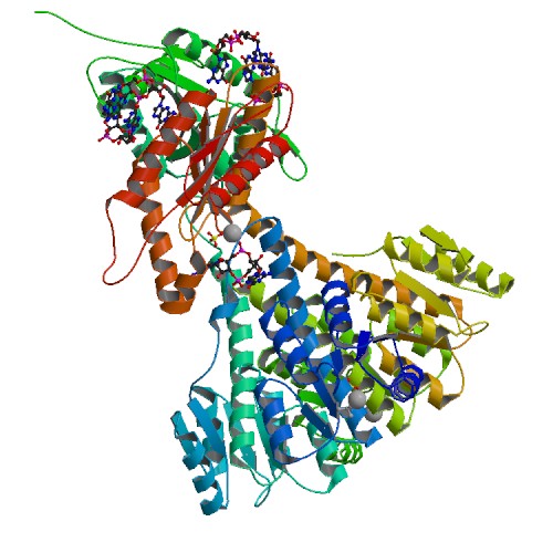 File:Diguanylate cyclase.jpg