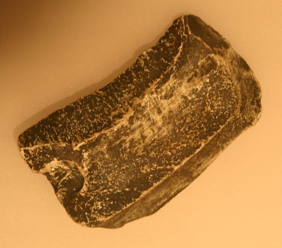 Stone tool