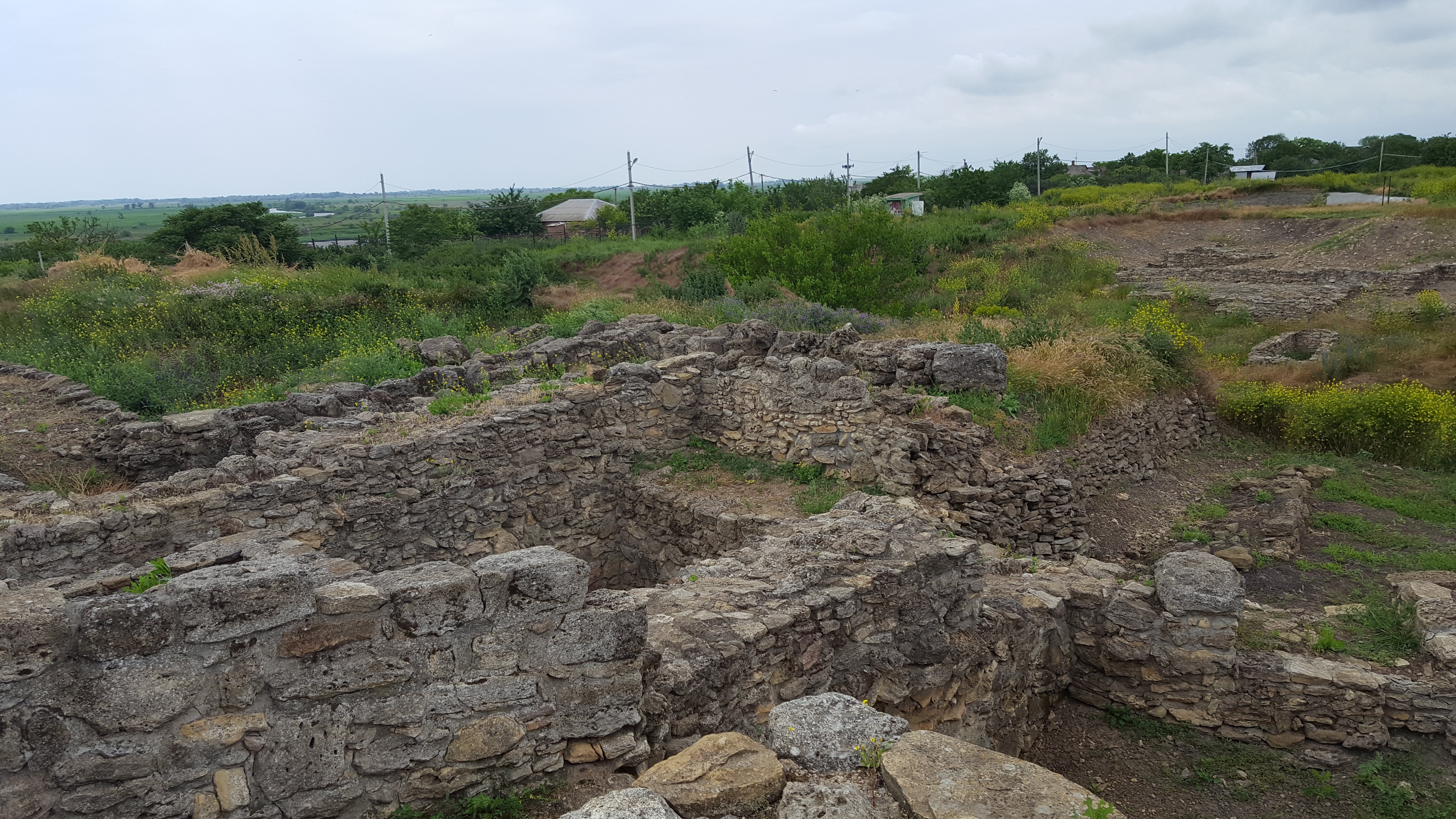 археологический музей заповедник танаис