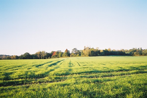 File:Farmland, Binfield - geograph.org.uk - 76365.jpg