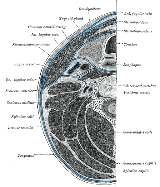 File:Gray384.png