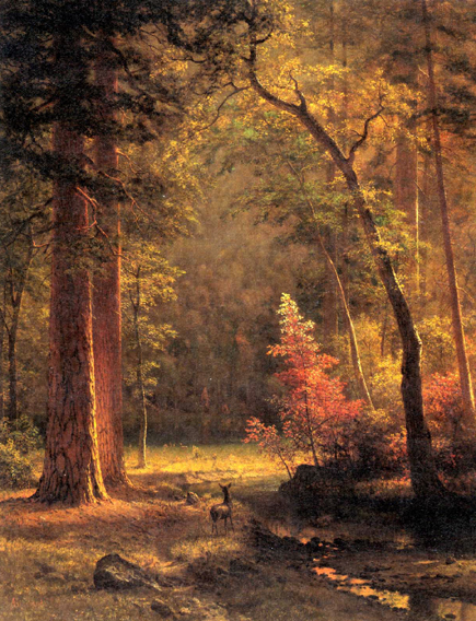 File:HRSOA AlbertBierstadt-Dogwood.jpg