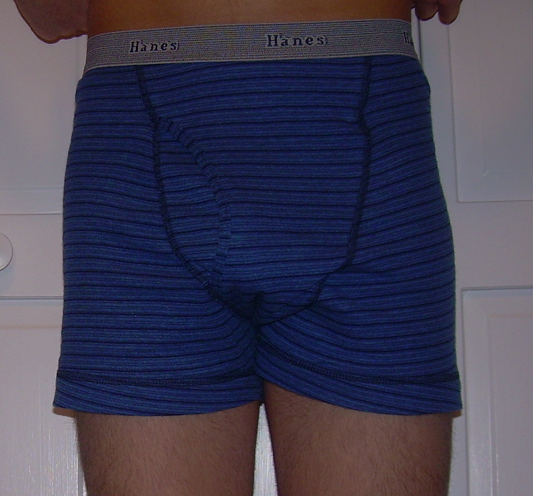 https://upload.wikimedia.org/wikipedia/commons/7/7f/Hanes_Boxer_brief.JPG