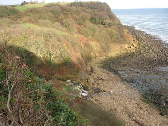 File:Hayburn Wyke - geograph.org.uk - 658657.jpg