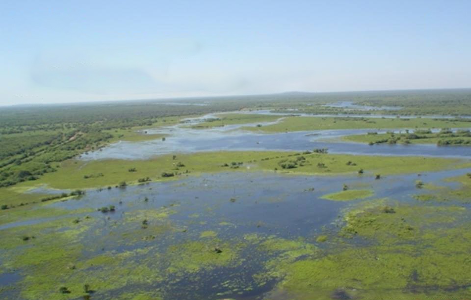 File Humedales en el Parque Nacional Tinfunqu Chaco Paraguay.jpg