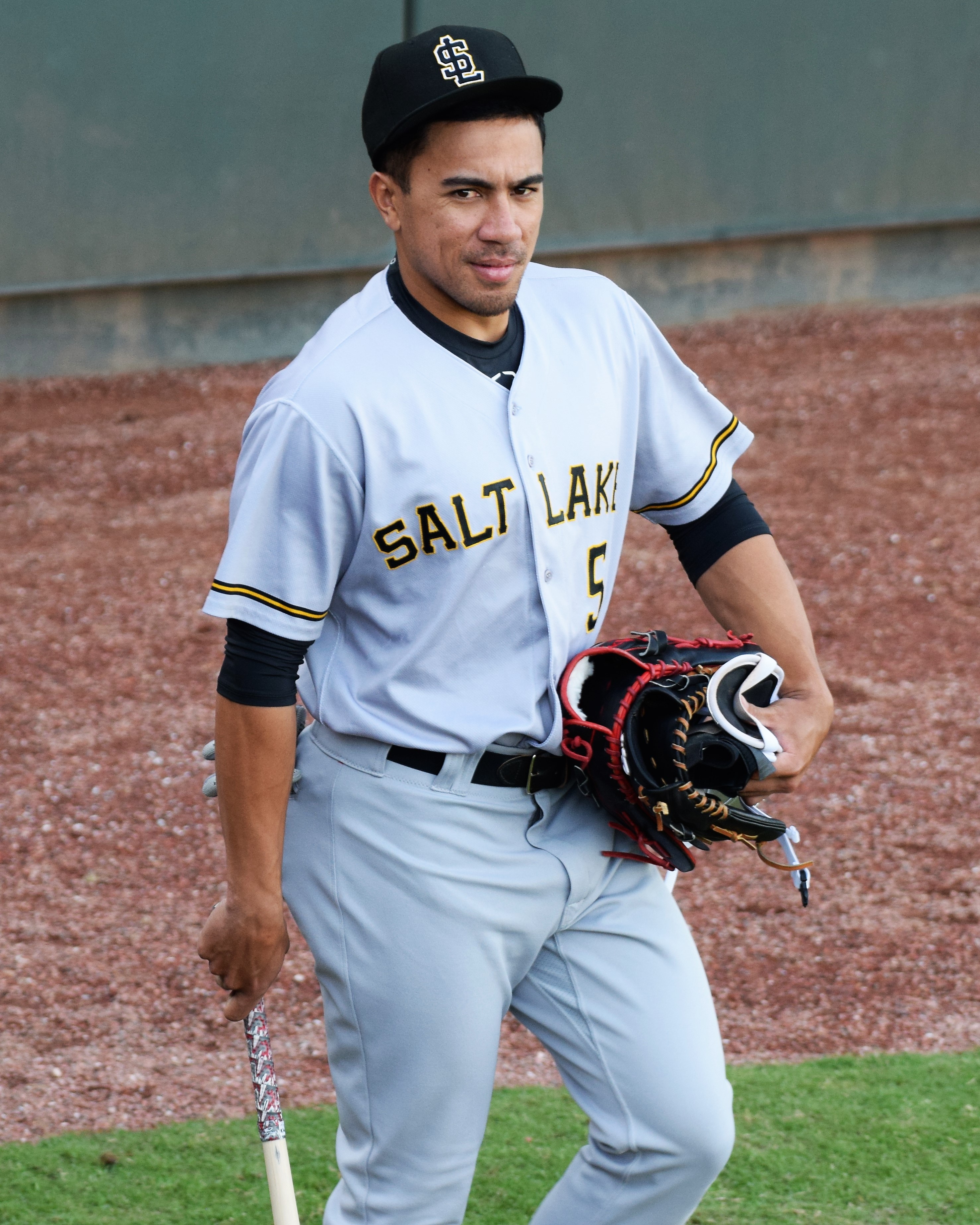 Salt Lake Bees - Wikipedia