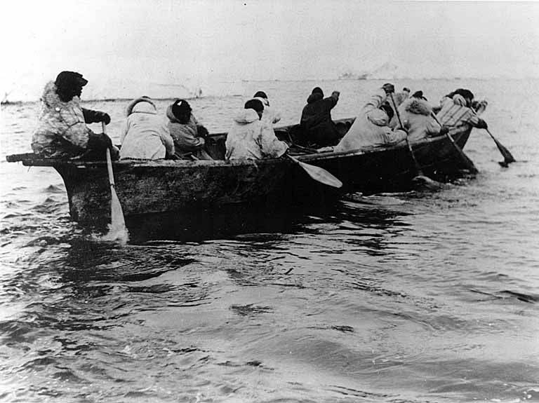 File:Kingikmiut Eskimos paddling an umiak, a boat made of animal skins, during a whale hunt, Bering Strait, Cape Prince of Wales (AL+CA 2124).jpg