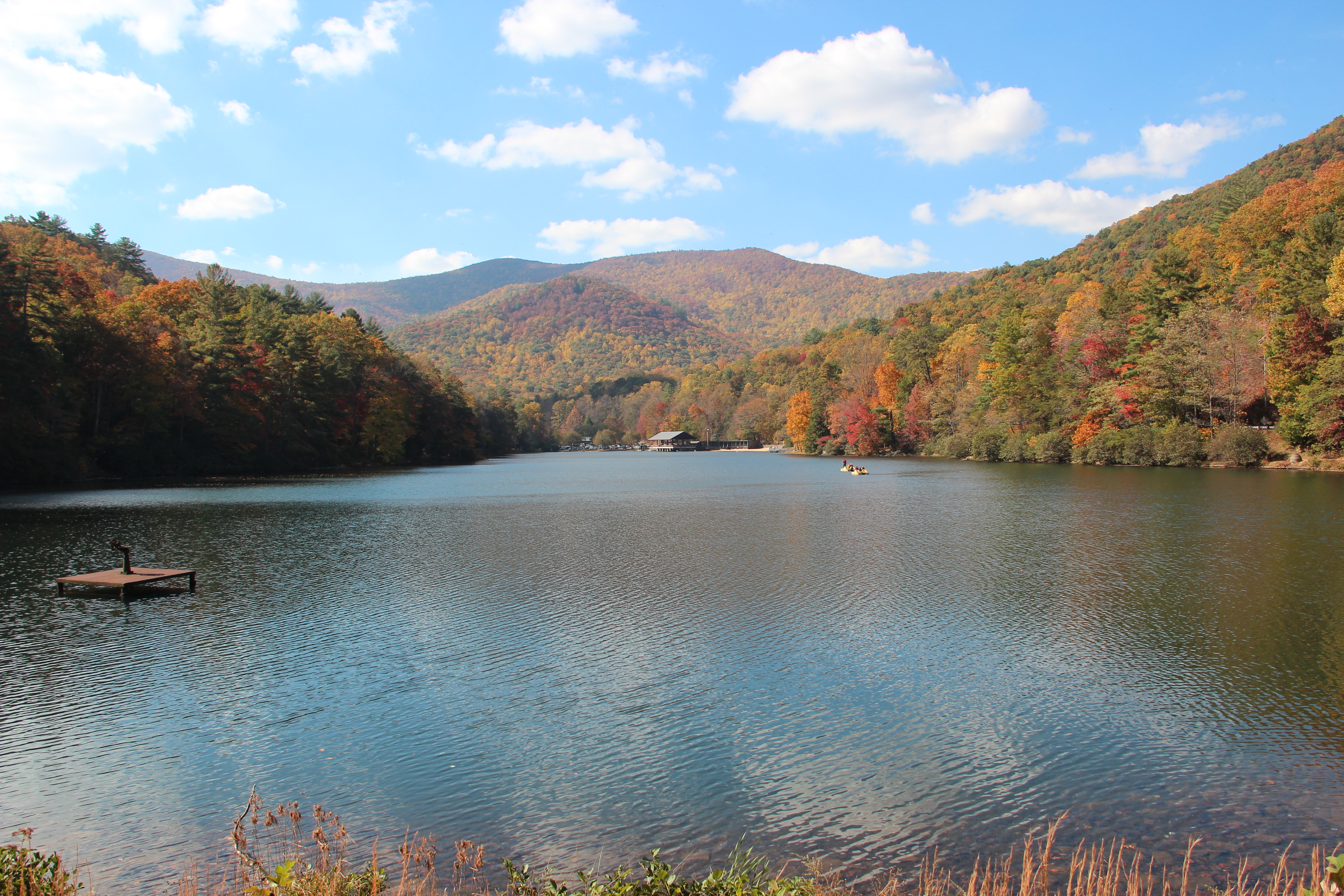 The Alluring Beauty of Vogel State Park