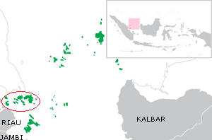 <span class="mw-page-title-main">Riau Archipelago</span> Indonesian archipelago