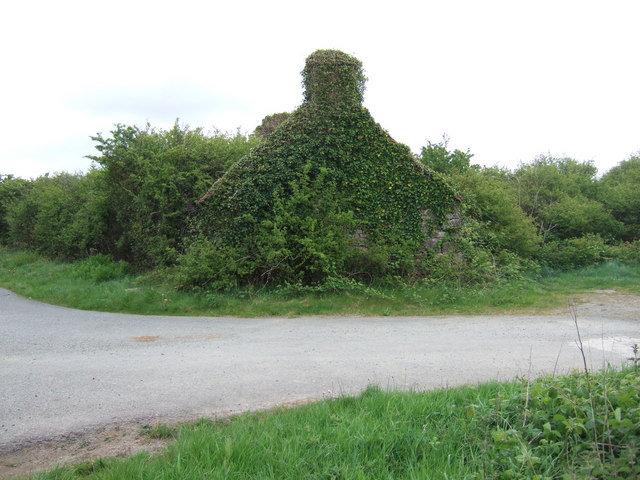 File:Nature takes hold - geograph.org.uk - 425396.jpg