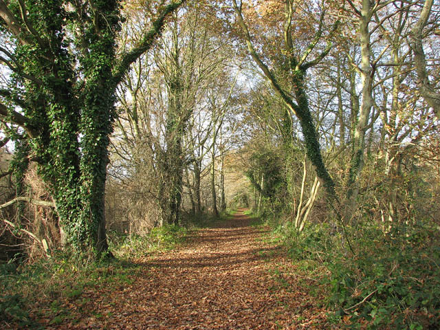 On the Weavers Way from Honing to Briggate - geograph.org.uk - 1053550