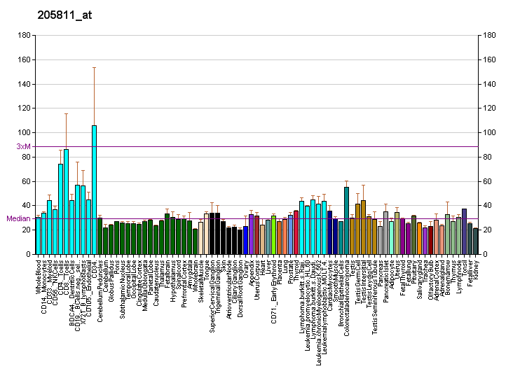 File:PBB GE POLG2 205811 at fs.png