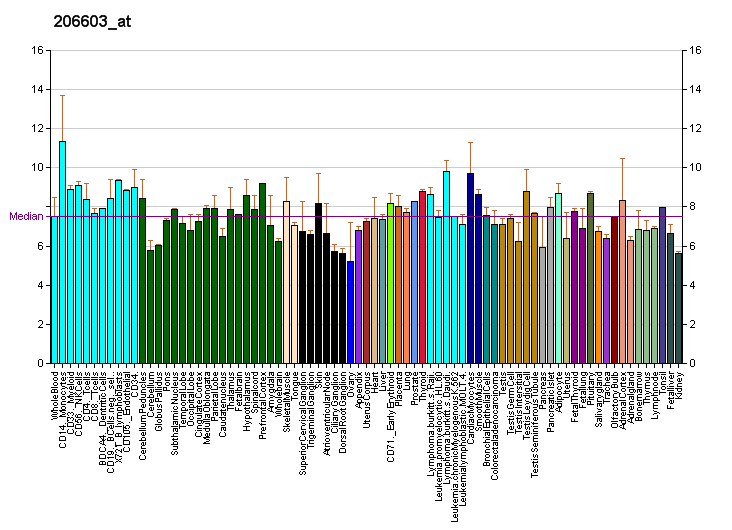 File:PBB GE SLC2A4 206603 at fs.png