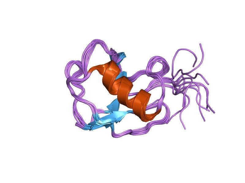 File:PDB 1v81 EBI.jpg