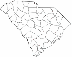 <span class="mw-page-title-main">Jamestown, South Carolina</span> Town in South Carolina, United States