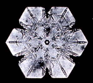 What does snowflake mean? – The Sun