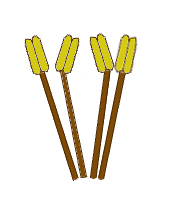 File:Stamen morphology arrangement didymous.png