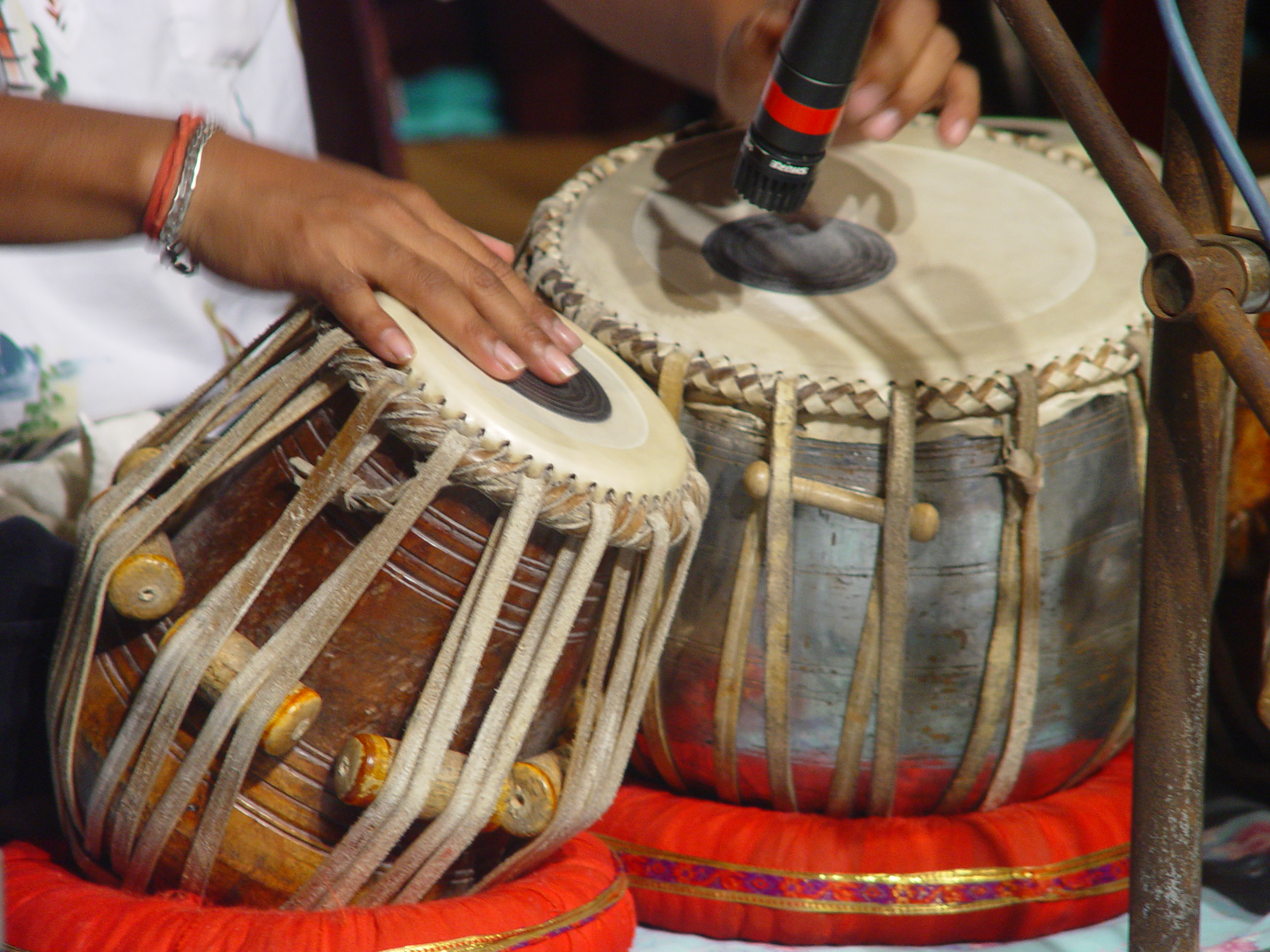 photo d'un sarod, instrument à cordes indien ressemblant un peu à une guitare