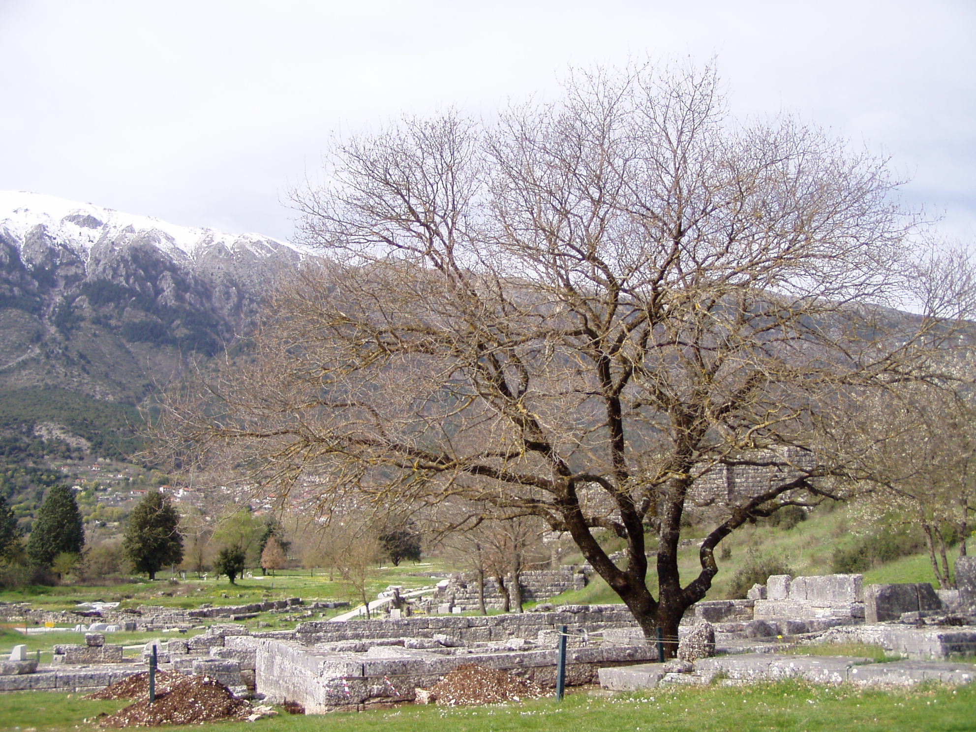 Temple of Zeus in Dodona 6.jpg